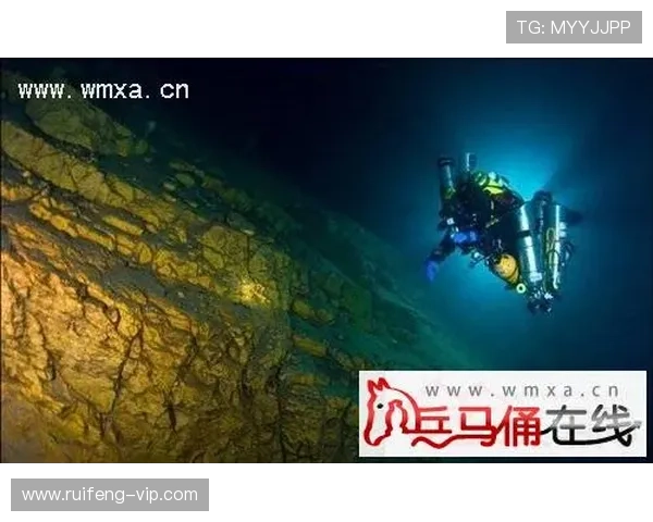 探索“lvbv3jbb”的神秘含义与潜在用途